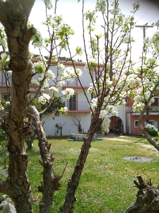 Perivoli Tessa'S Διαμέρισμα Πάργα Εξωτερικό φωτογραφία